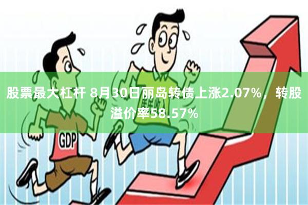 股票最大杠杆 8月30日丽岛转债上涨2.07%，转股溢价率58.57%