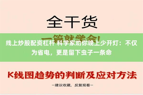 线上炒股配资杠杆 科学家劝你晚上少开灯：不仅为省电，更是留下虫子一条命