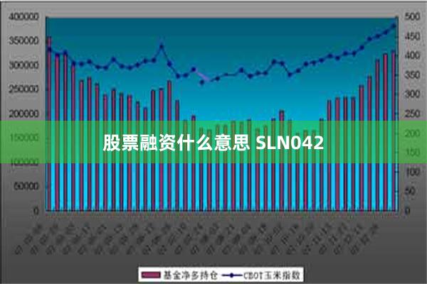 股票融资什么意思 SLN042