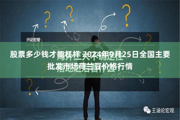 股票多少钱才能杠杆 2024年9月25日全国主要批发市场荷兰豆价格行情