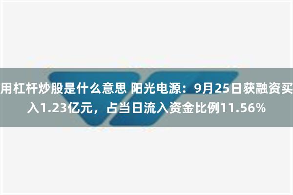 用杠杆炒股是什么意思 阳光电源：9月25日获融资买入1.23亿元，占当日流入资金比例11.56%