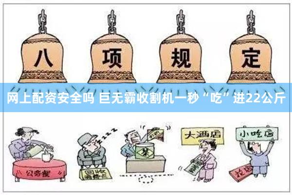 网上配资安全吗 巨无霸收割机一秒“吃”进22公斤