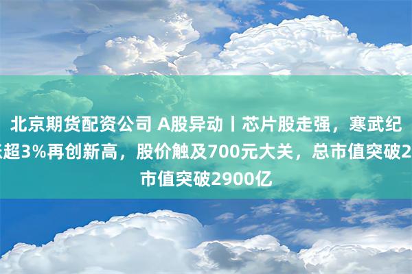 北京期货配资公司 A股异动丨芯片股走强，寒武纪盘中涨超3%再创新高，股价触及700元大关，总市值突破2900亿