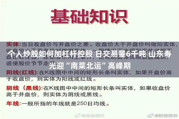 个人炒股如何加杠杆控股 日交易量6千吨 山东寿光迎“南菜北运”高峰期