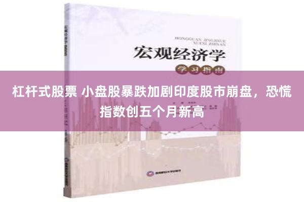 杠杆式股票 小盘股暴跌加剧印度股市崩盘，恐慌指数创五个月新高